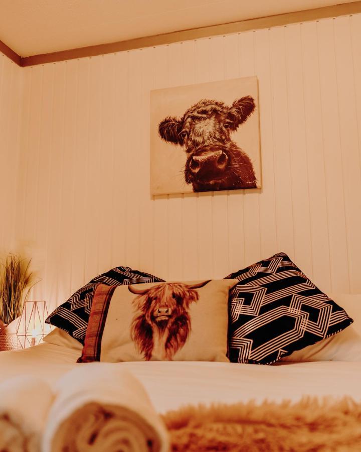 Wooden Cosy Retreat Hunters Quay Villa Dunoon Dış mekan fotoğraf